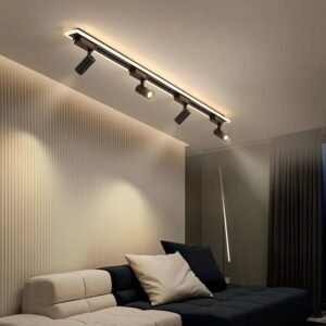 Axis Downlight